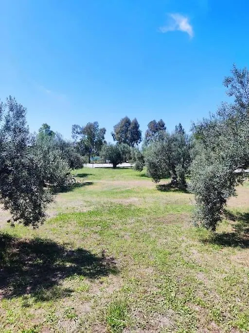 Dikili Bademli Muestakil Villa Yazcenneti Sitesi